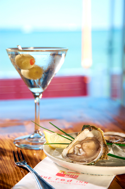 Oysters and cocktail